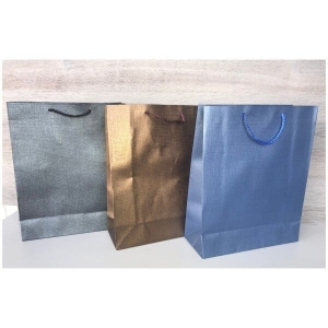 Torby papierowe z uchwytem linowym. Wymiary 32 x 26 cm (h)